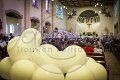IMG_8558